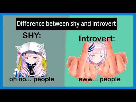 Reine explains the difference between a Shy person and an Introvert