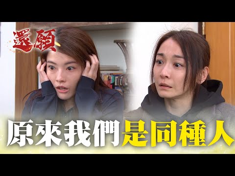 原來你我都一樣！當敵人同病相憐時？｜#願望 EP115｜三立台劇