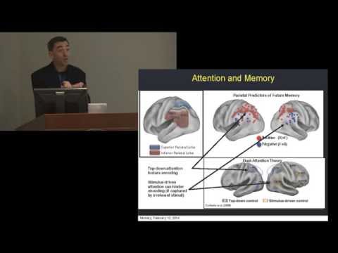 Anthony Wagner presents Intro to Science of Memory. Vanderbilt Judicial Colloquium, Feb. 2014