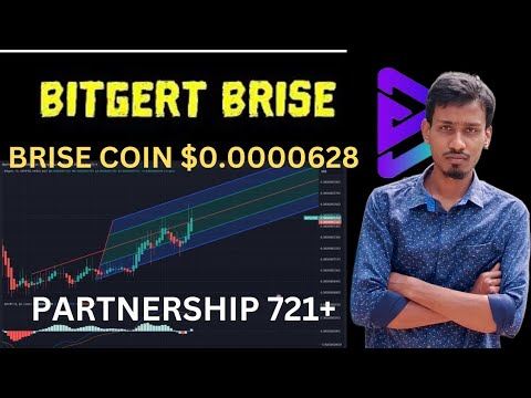 BRISE Best Coin 2024 | Bitgert Supply Burn | BRISE Coin $0.0000628 | Binance Listing