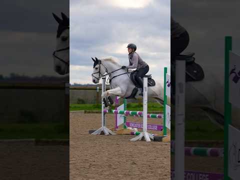 How to build confidence Show Jumping #equestrian