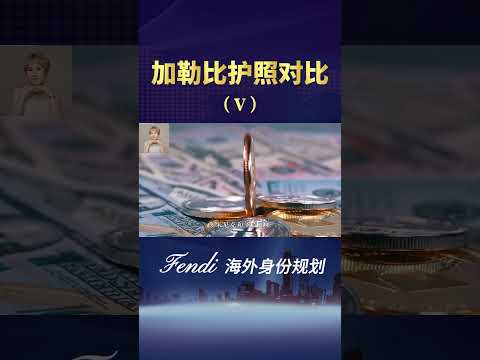 办小国护照能不能换名字？#护照 #移民 #加勒比护照