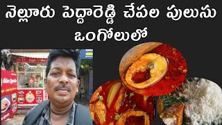 4 varieties of Nellore Chepala Pulusu | Ongole Hotel | Must Try | Street Catalog |