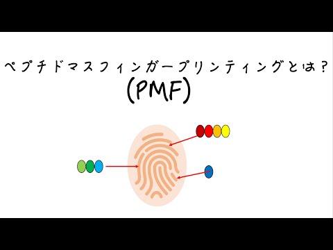 【プロテインシーケンス】ペプチドマスフィンガープリンティング