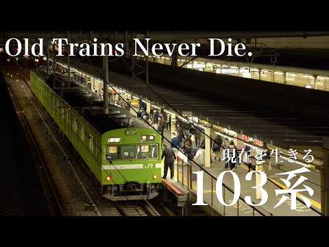 現在(いま)を生きる、103系。