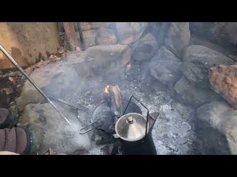 Breakfast in Camp Bean