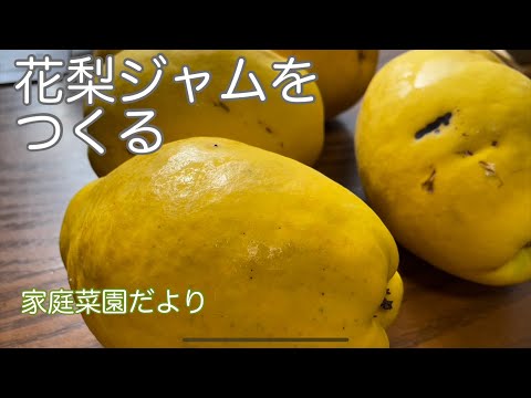 花梨ジャムを作る【家庭菜園だより】