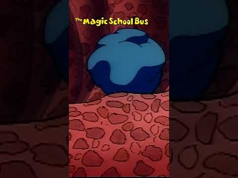 Bungee Jumping in the Large Intestine | The Magic School Bus | Scholastic Classic