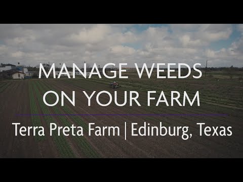 Manage Weeds on Your Farm: Ecological Weed Management at Terra Preta Farm, Edinburg, TX