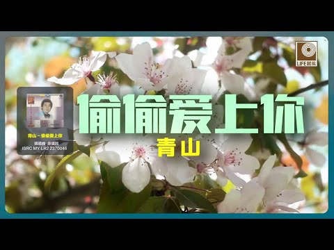 青山 - 偷偷愛上你 (Official Lyric Video)