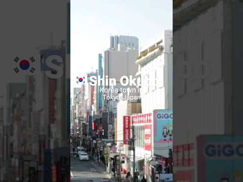 🇰🇷  Shin Okubo [Korea Town] Tokyo, Japan 🍲