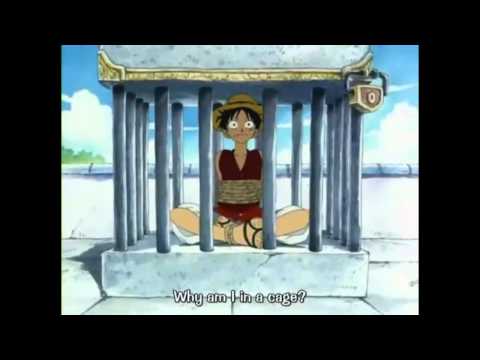 Luffy why am i in a cage?