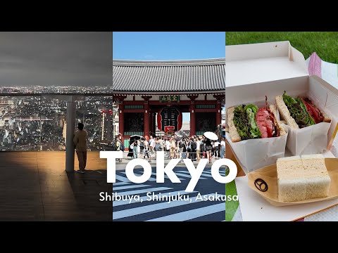 Tokyo Diaries 🇯🇵 Shibuya Sky, picnic in Shinjuku, Sensoji Temple in Asakusa 🏮 Japan VLOG 📸