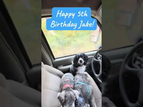 Happy 5th birthday Jake!