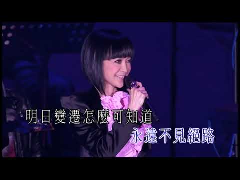 陈慧娴 2008 演唱会