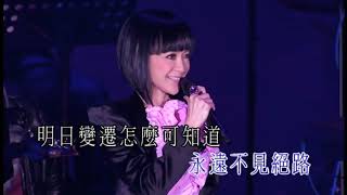 陈慧娴 2008 演唱会