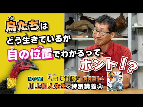 【図鑑MOVEミニ講義③】鳥の感覚器官について鳥類学者・川上和人先生が解説！