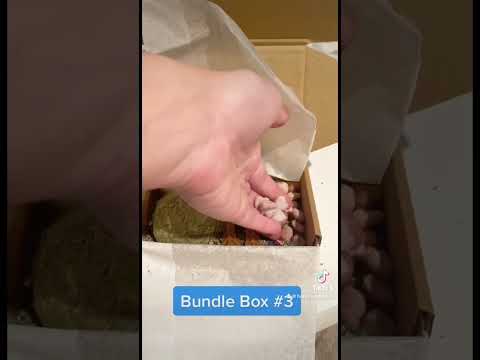 Bundle Box #3 for small animals!!