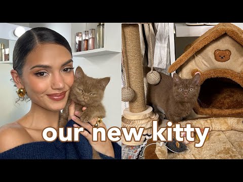 Our new baby 🤎🐻 Meet Bambi! Vlog