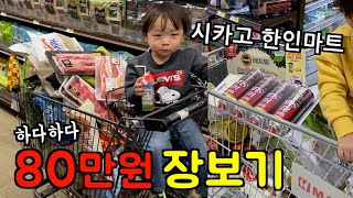 미국일상 🇺🇸 하다하다 이젠 80만원 '시카고 한인마트 장보기' 🔥 (막 담으면 이렇게 됩니다) l 미국 브이로그