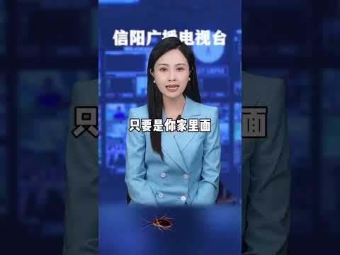 不想家里爬满蟑螂，一定要做好这件事！ #科普  #涨知识  #灭蟑螂