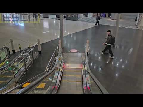 Korea Incheon International Airport ICN Escalator HYUNDAI 1F-B1