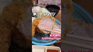 羽釜で炊いたご飯に柔らかいトンカツ【練馬グルメ】米とひなた