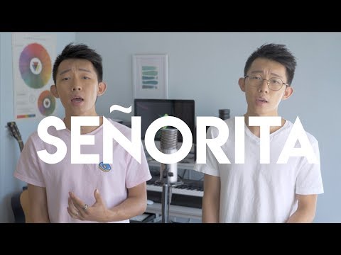 Shawn Mendes/Camila Cabello - Señorita (Cover by Howard Guo)