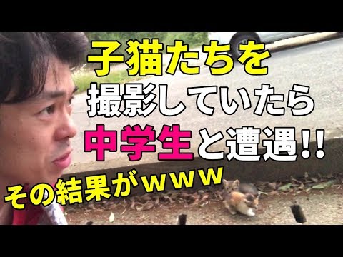 【ハプニング】道端の子猫達を撮影していたら、中学生達と遭遇しました。その結果がコチラ！