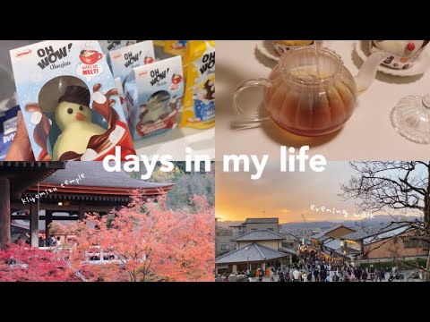 ලස්සන හවසක 🌼 Kyoto in autumn 🍂 | Days in my life | TRAVEL With Fashion #lifeinjapan #dayvlogs