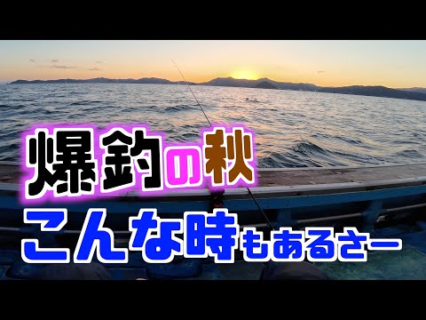 【真鯛】いよいよ9月！小鯛大鯛入り混じる秋！数も狙えるので勇んで釣り糸を垂れたが・・・