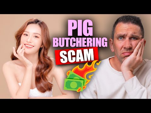 I Fell for a Pig Butchering Scam