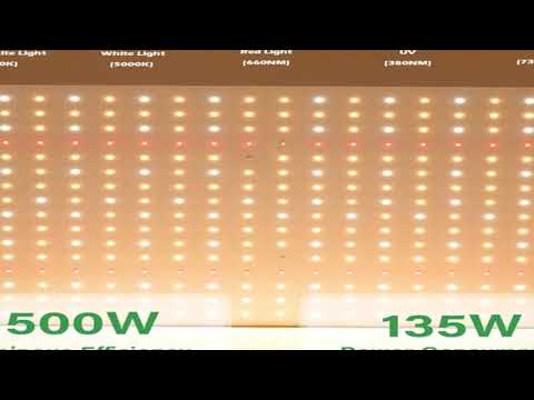 Samsung LM281B Quantum LED Grow Light Veg and Bloom Phytolamp,EU Plug, for Plant