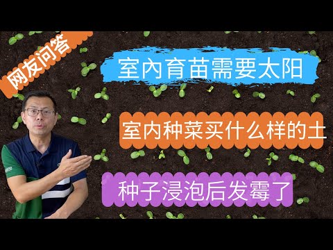 网友问答7：室内育苗需要太阳照射吗？韭菜辣椒户外育苗呢？室内种植买什么土？