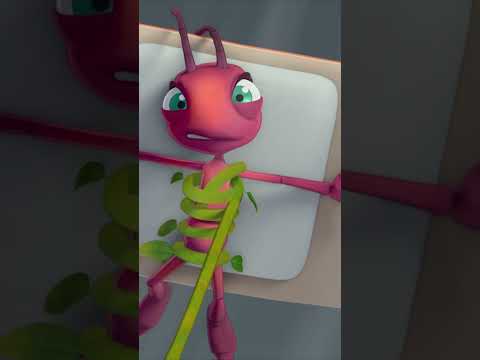 Ants in the Wind | Cartoons for Kids | #shorts | Oddbods & Antiks