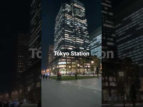 This is a video of the area in front of Tokyo Station.