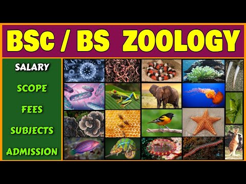 BSc Zoology | BS Zoology | Salary, Scope, Fees, Subjects and Admission Criteria of BSc Zoology (BS)