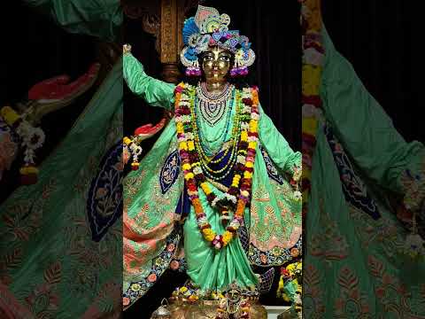 ♥️ Today's darshan of narasimha Deb, Radha Madhav, panchatatwa divine ♥️ 29/12/2024 #mayapuriskcon