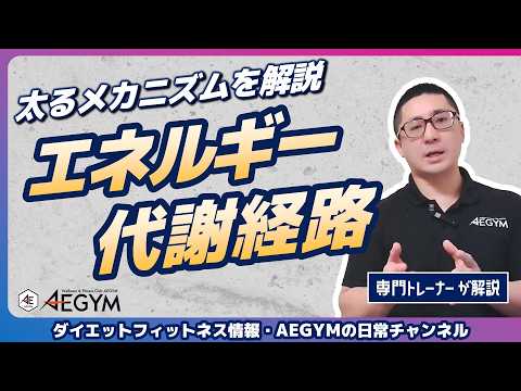 【ダイエット】太るメカニズムを解説！エネルギー代謝経路を知ろう【佐野市の24時間ジム：AEGYM】