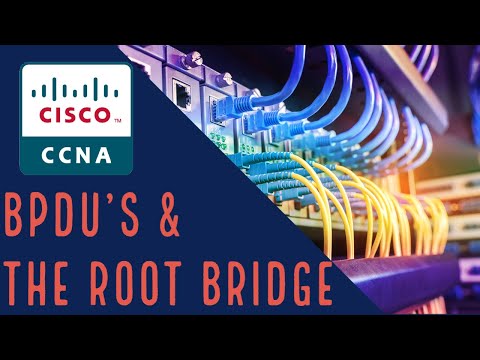 Cisco CCNA - Spanning Tree BPDUs & The Root Bridge