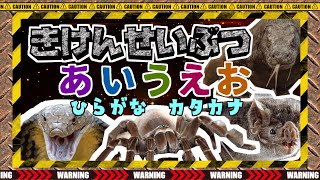 【危険生物あいうえお】子供向け  きけんないきものをおぼえよう！オニヒトデ、ミノカサゴ、コブラ、ワニ