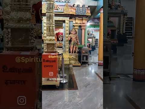 कार्तिकेय स्वामी मंदिर चंडीगढ़ | karthikeya Swamy temple Chandigarh sector 31#shorts #kaartikeyswami