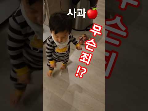 사과가 무슨 죄? #아기 일상 #아기 #shorts #운동 #운동기구  #아령  #baby #14개월아기 #운동하는남자 #사과