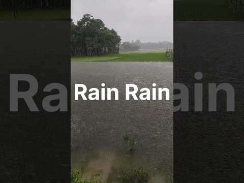 July 6, 2024# Rain Rain#Uttar Dhalkar