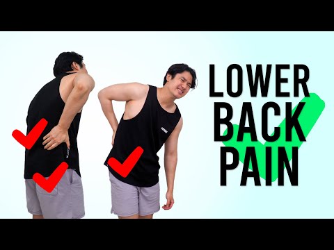 Free from Lower Back Pain  + In-Depth Explanation｜Easy and Effective｜Corrective Exercises