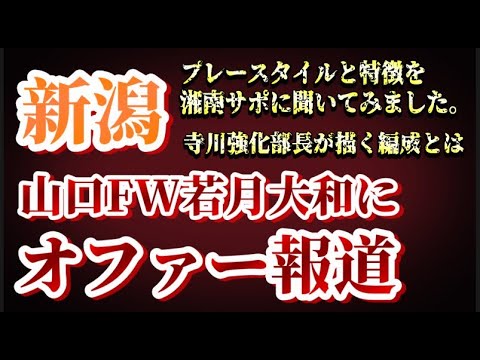 【移籍報道】山口FW若月大和に新潟が正式オファーという話【アルビレックス新潟/albirex/若月大和】