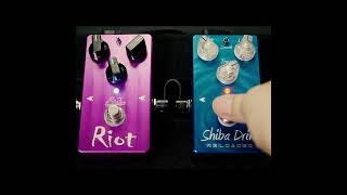 Suhr RiotをSuhr Shiba Drive RELOADEDでブーストする