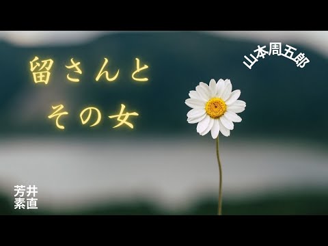 【睡眠導入】【朗読】留さんとその女 山本周五郎作　朗読　芳井素直