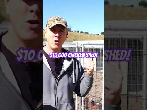 $10 000 Chicken Coop!! #ozziereviews #chicken #chickencoop #chooks #chickens #isabrown #eggs #shed