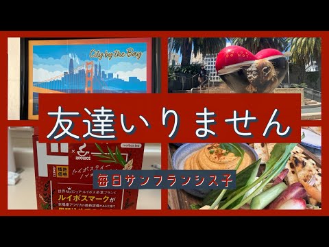 友達減ったメリット【サンフランシスコ庶民生活】